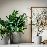 Горшок для цветов Ikea Skogsvinbar Серый / Керамика / На подоконник photo 5