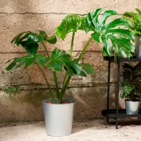 Ghiveci pentru flori Ikea Akerbar Silver / Metal / Pe podea photo 3