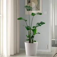 Ghiveci pentru flori Ikea Sojabona White / Ceramică / Pe podea photo 3