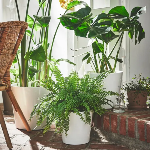 Ghiveci pentru flori Ikea Sojabona White / Ceramică / Pe podea photo 5