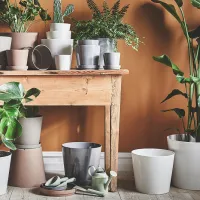 Горшок для цветов Ikea Sojabona Белый / Керамика / На полу photo 3