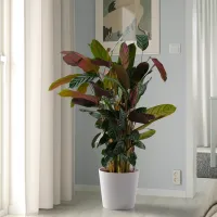 Горшок для цветов Ikea Sojabona Белый / Керамика / На полу photo 5
