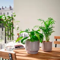 Ghiveci pentru flori Ikea Honungspalm Brown / Ceramică / Pe pervaz photo 3