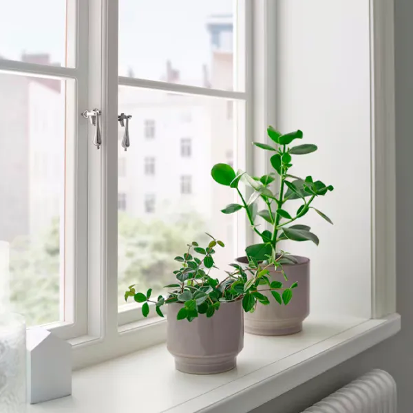 Горшок для цветов Ikea Honungspalm Коричневый / Керамика / На подоконник photo 4