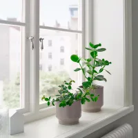 Ghiveci pentru flori Ikea Honungspalm Brown / Ceramică / Pe pervaz photo 4