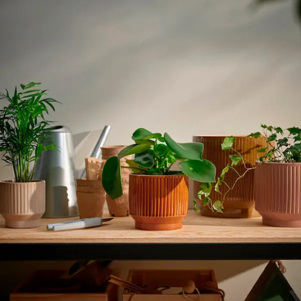 Ghiveci pentru flori Ikea Honungspalm Pink / Ceramică / Pe pervaz photo 4
