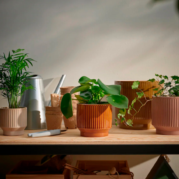 Ghiveci pentru flori Ikea Honungspalm Pink / Ceramică / Pe pervaz photo 4