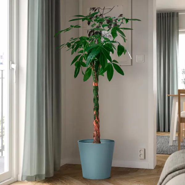 Горшок для цветов Ikea Vitlok Синий / Металл / На полу photo 3