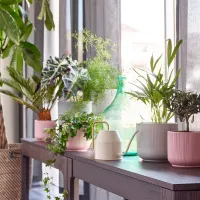Ghiveci pentru flori Ikea Gradvis Pink / Ceramică / Pe pervaz photo 3