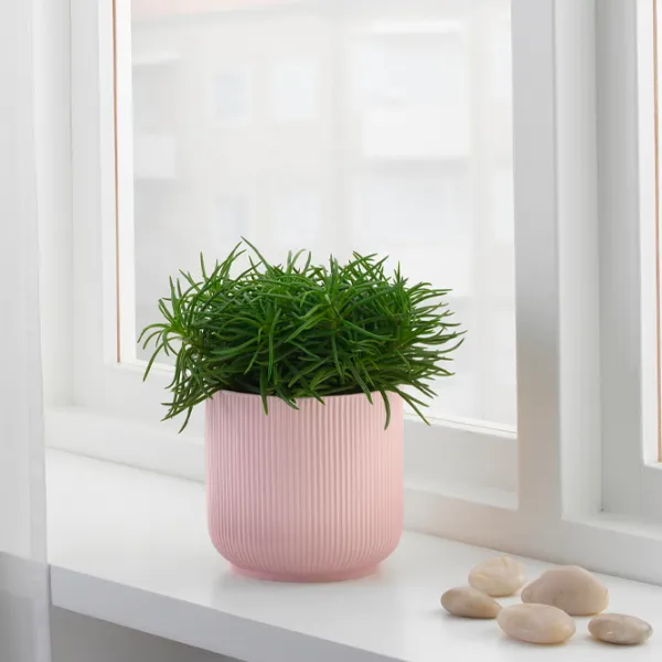 Горшок для цветов Ikea Gradvis Розовый / Керамика / На подоконник photo 5