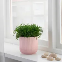Ghiveci pentru flori Ikea Gradvis Pink / Ceramică / Pe pervaz photo 5