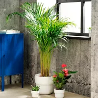 Ghiveci pentru flori Ikea Forenlig White / Plastic / Pe podea photo 4