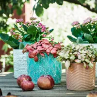 Ghiveci pentru flori Ikea Chiafron Gray / Ceramică / Pe pervaz photo 5