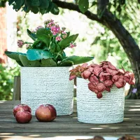 Ghiveci pentru flori Ikea Chiafron Gray / Ceramică / Pe pervaz photo 6