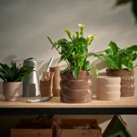 Ghiveci pentru flori Ikea Hasselbukett Brown / Ceramică / Pe pervaz photo 5
