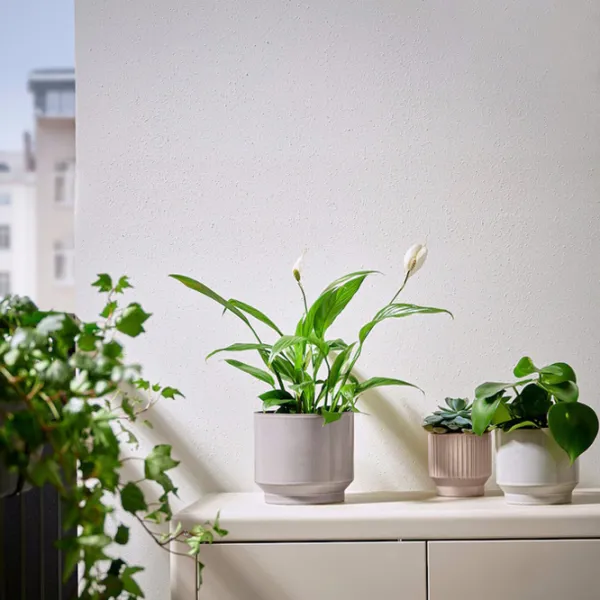Ghiveci pentru flori Ikea Hasselbukett Beige / Ceramică / Pe pervaz photo 3
