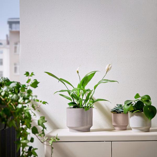 Ghiveci pentru flori Ikea Hasselbukett Beige / Ceramică / Pe pervaz photo 3