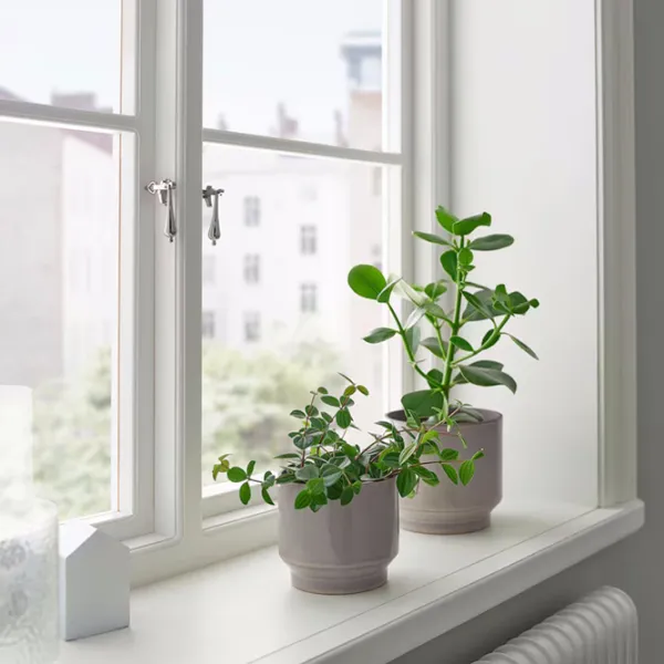 Ghiveci pentru flori Ikea Hasselbukett Beige / Ceramică / Pe pervaz photo 4