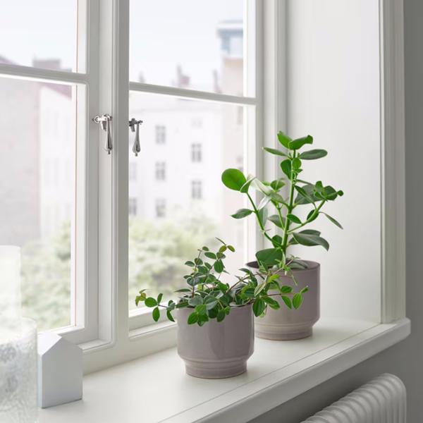 Ghiveci pentru flori Ikea Hasselbukett Beige / Ceramică / Pe pervaz photo 4