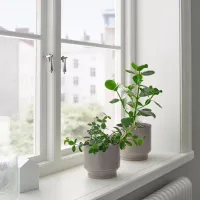 Ghiveci pentru flori Ikea Hasselbukett Beige / Ceramică / Pe pervaz photo 4