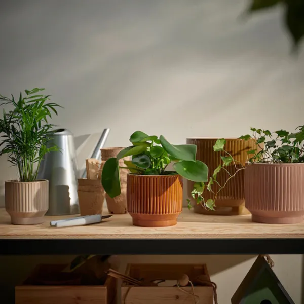 Ghiveci pentru flori Ikea Honungspalm Brown / Ceramică / Pe pervaz photo 3