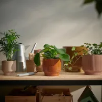Ghiveci pentru flori Ikea Honungspalm Brown / Ceramică / Pe pervaz photo 3