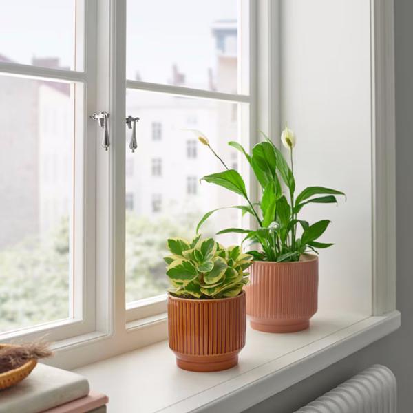 Ghiveci pentru flori Ikea Honungspalm Brown / Ceramică / Pe pervaz photo 4