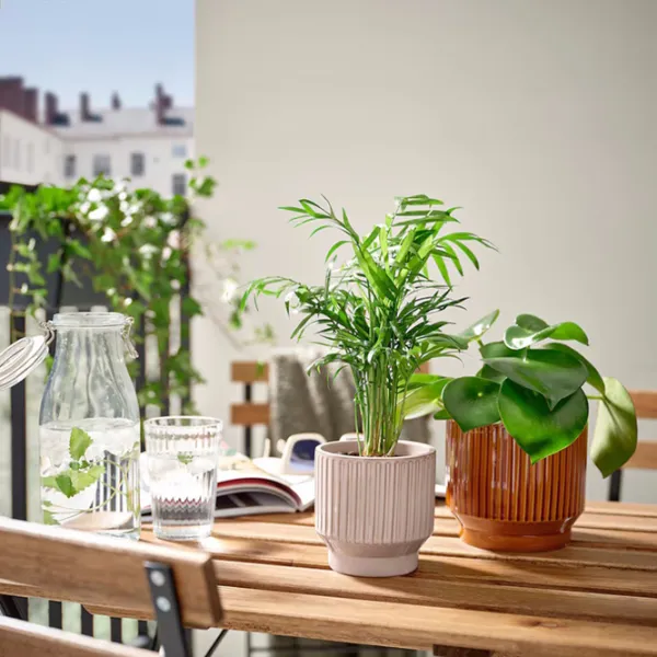 Ghiveci pentru flori Ikea Honungspalm Brown / Ceramică / Pe pervaz photo 5