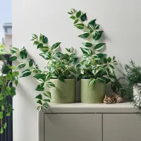 Горшок для цветов Ikea Chiafron Зеленый / Керамика / На подоконник photo 4