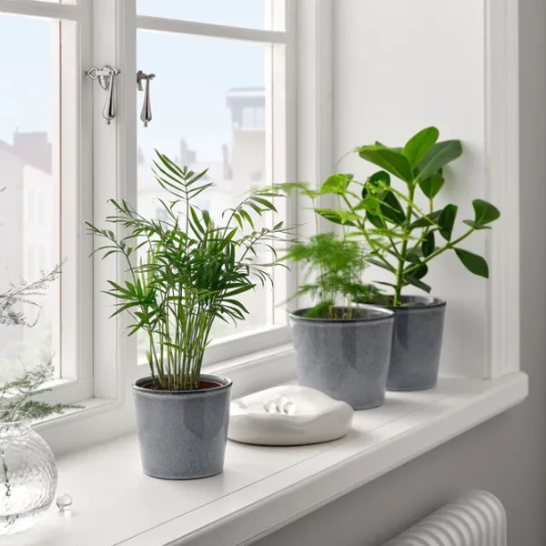 Ghiveci pentru flori Ikea Fjarilsbuske Gray / Ceramică / Pe pervaz photo 4