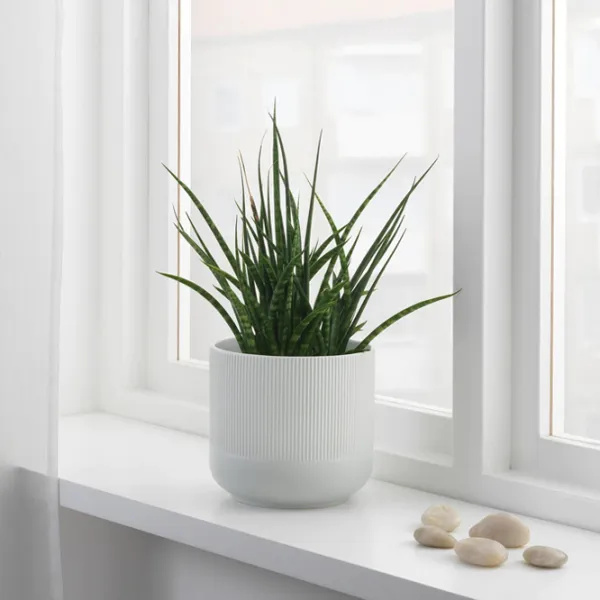 Ghiveci pentru flori Ikea Gradvis Gray / Ceramică / Pe pervaz photo 3