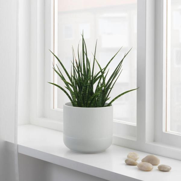 Ghiveci pentru flori Ikea Gradvis Gray / Ceramică / Pe pervaz photo 3