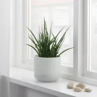 Ghiveci pentru flori Ikea Gradvis Gray / Ceramică / Pe pervaz photo 3