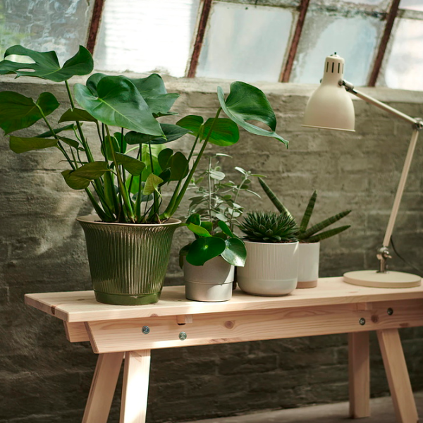 Ghiveci pentru flori Ikea Gradvis Gray / Ceramică / Pe pervaz photo 4