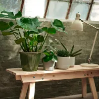Ghiveci pentru flori Ikea Gradvis Gray / Ceramică / Pe pervaz photo 4