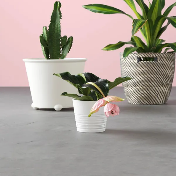 Горшок для цветов Ikea Ps Fejo Белый / Пластик / На подоконник photo 7