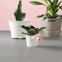 Ghiveci pentru flori Ikea Ps Fejo White / Plastic / Pe pervaz photo 7
