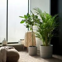 Горшок для цветов Ikea Nypon Серый / Полипропилен / На подоконник photo 3