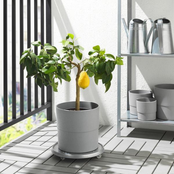 Ghiveci pentru flori Ikea Nypon Gray / Polipropilenă / Pe pervaz photo 4