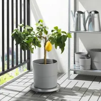 Горшок для цветов Ikea Nypon Серый / Полипропилен / На подоконник photo 4