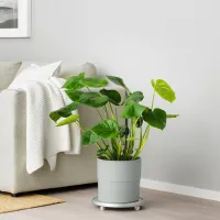 Горшок для цветов Ikea Nypon Серый / Полипропилен / На подоконник photo 5
