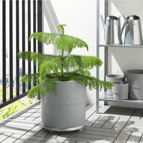 Горшок для цветов Ikea Nypon Серый / Полипропилен / На подоконник photo 3