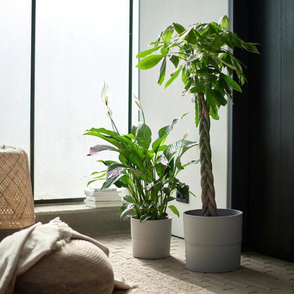 Горшок для цветов Ikea Nypon Серый / Полипропилен / На подоконник photo 5