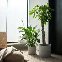 Горшок для цветов Ikea Nypon Серый / Полипропилен / На подоконник photo 5