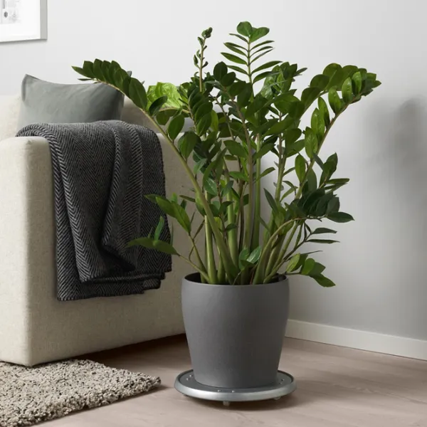 Горшок для цветов Ikea Persillade Черный / Керамика / На подоконник photo 3