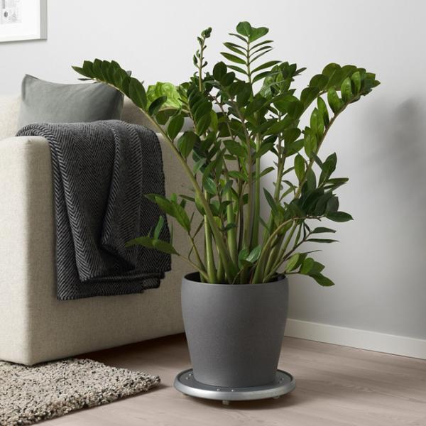 Горшок для цветов Ikea Persillade Черный / Керамика / На подоконник photo 3