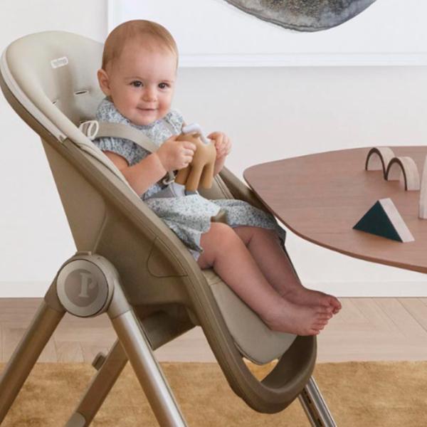 Стульчик для кормления Peg Perego Living () / 0 месяцев / True Black  photo 19