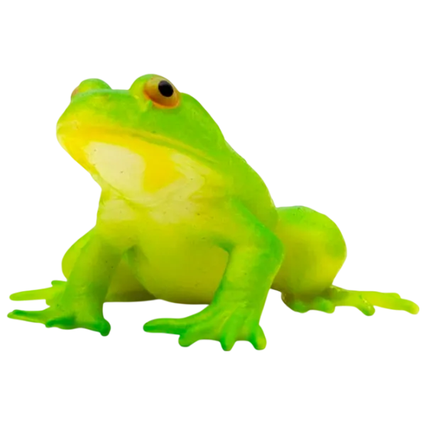 Jucărie antistres Icom Poland Broscuța Green / 3+ photo 1 Jucărie antistres Icom Poland Broscuța Green / 3+ photo 1