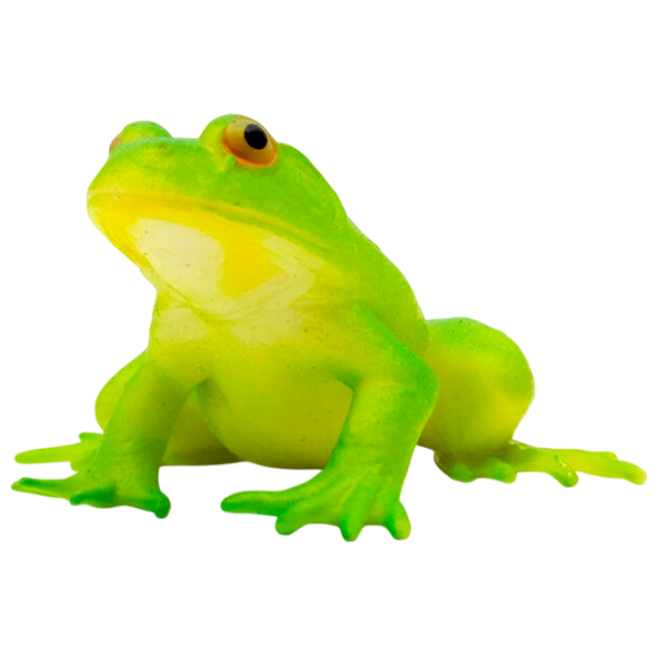 Jucărie antistres Icom Poland Broscuța Green / 3+ photo 1 Jucărie antistres Icom Poland Broscuța Green / 3+ photo 1