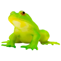 Игрушка антистресс Icom Poland Лягушка Зеленый / 3+